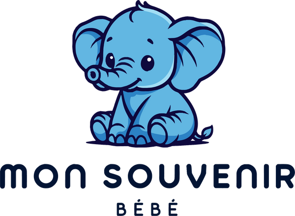logo_mon_souvenir_bb_logo_sans_fond